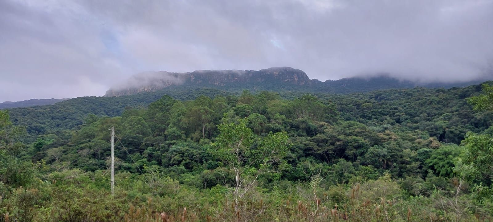 Terça-feira de Carnaval pode ser de chuva intensa em 356 cidades de Minas; veja quais