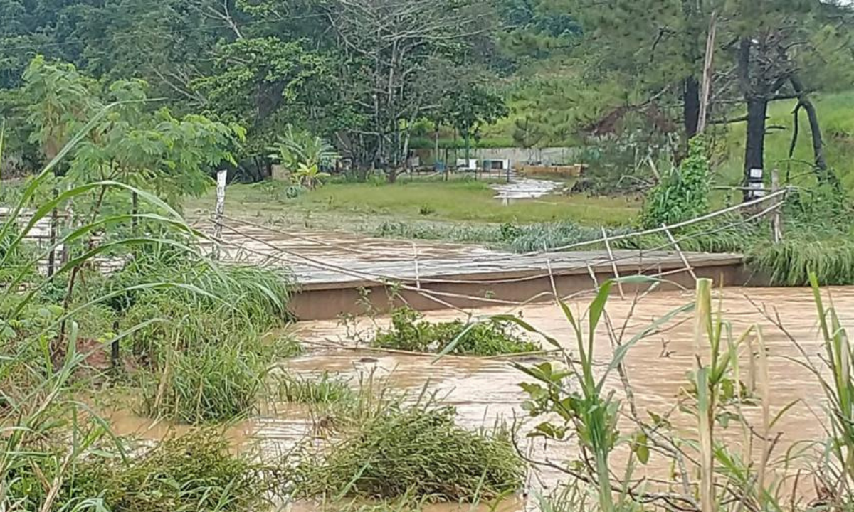 Chuvas em MG: mais três cidades da Zona da Mata decretam estado de emergência