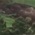 Vídeo: deslizamento de terra deixa ao menos 16 mortos no sul do Equador