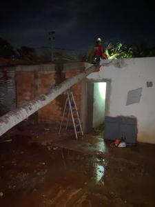 Diversas árvores atingiram residências e bloquearam avenidas de Montes Claros