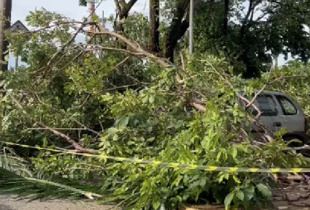 Temporal: Cemig recebe 90 ocorrências de falta de energia em Ipatinga