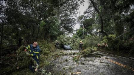 Ciclone que atingiu Rio Grande do Sul na madrugada desta sexta (16) deixou quatro mortos