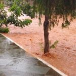 Cidades de Minas Gerais cancelam carnaval por causa de chuvas