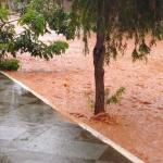 Cidades de Minas Gerais cancelam carnaval por causa de chuvas