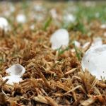 Tempestade de granizo podem atingir 183 cidades da Bahia, veja quais