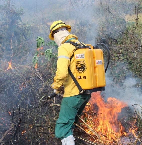 Corpo de Bombeiros de Minas Gerais encerra nesta segunda-feira (28) inscrições para seleção de brigadistas florestais temporários