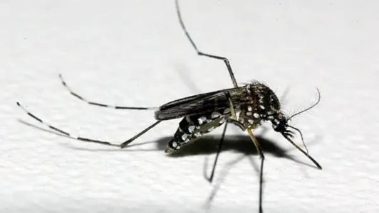 Cidades mineiras estão em alerta e/ou risco para contaminação