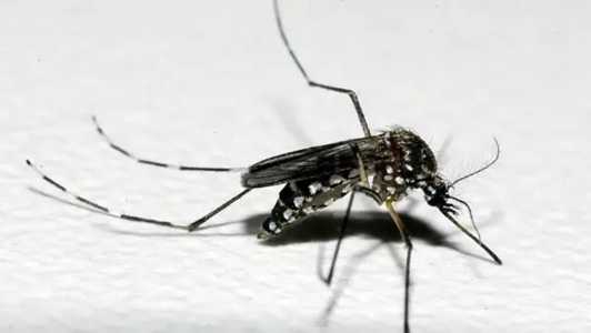 Cidades mineiras estão em alerta e/ou risco para contaminação