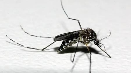Cidades mineiras estão em alerta e/ou risco para contaminação