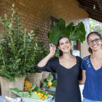 O que é mirtilo? Conheça iguaria, seus benefícios e produção em Minas Gerais