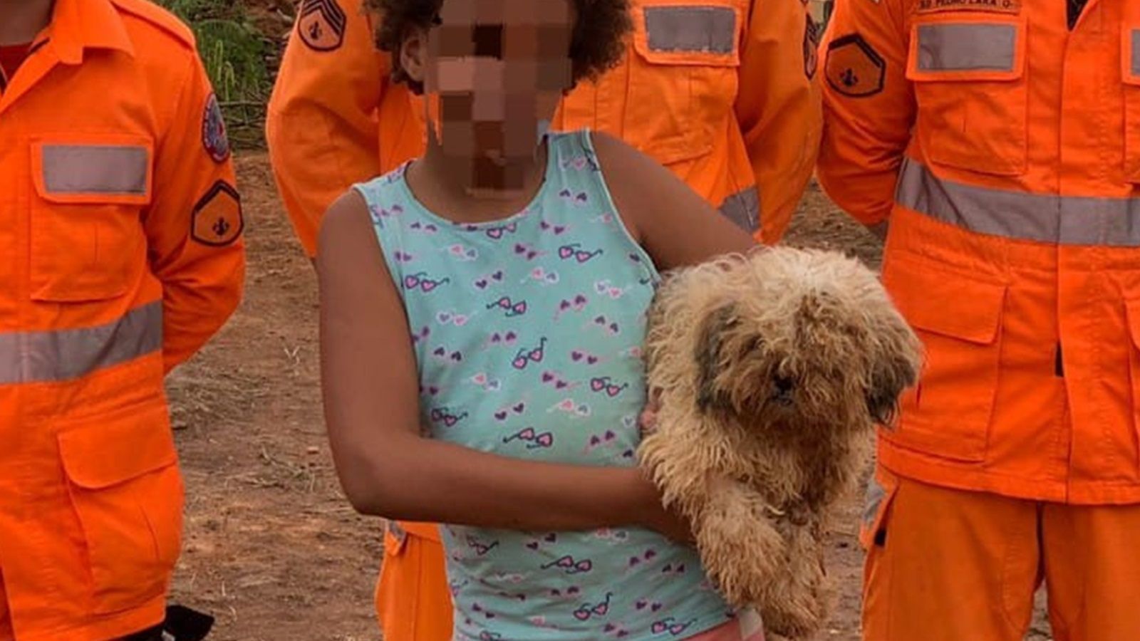 Cachorro vira 'bola de sujeira' após cair em buraco de 8 metros no interior de MG