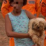 Cachorro vira 'bola de sujeira' após cair em buraco de 8 metros no interior de MG