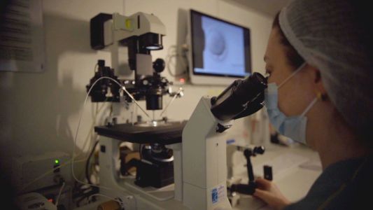 Em SP, pacientes começam a receber tratamento considerado inovador contra o câncer | CNN Brasil