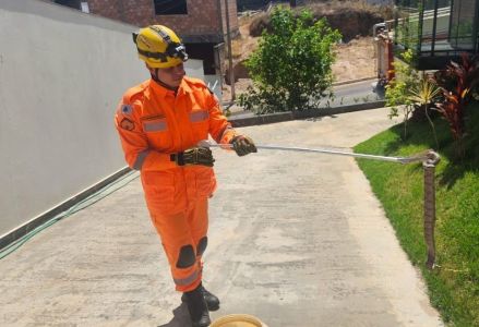 Cobra jiboia é encontrada em condomínio em Araxá