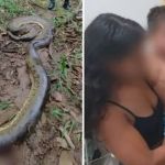 Menino de 2 anos é atacado por sucuri de 6 metros às margens de rio em Goiás