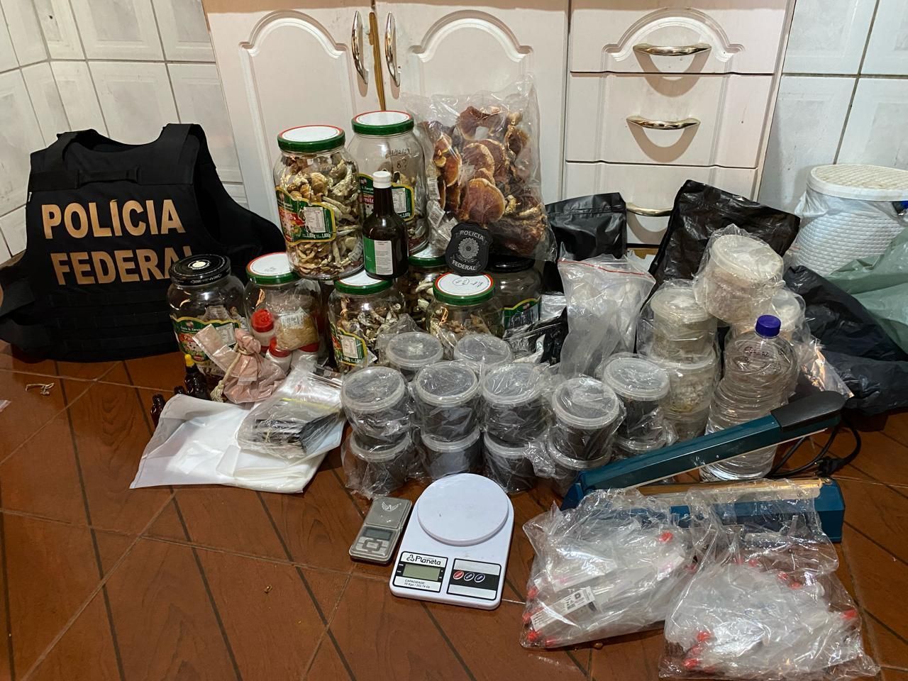 PF mira traficantes de BH que vendem cogumelos alucinógenos pela internet