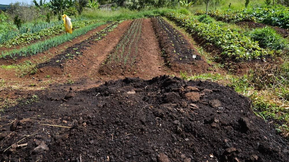 Efeitos negativos de produção de alimentos é quase 10% do PIB global