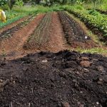 Efeitos negativos de produção de alimentos é quase 10% do PIB global