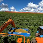 Café da Cedro Agronegócio conquista prêmio regional e projeta o Norte de Minas no cenário nacional da cafeicultura