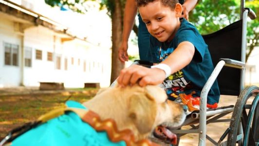 Com uniforme e crachá a cadela Vilma Thalita faz parte do Projeto Patas Amigas