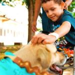 Vira-lata 'especialista em amor' visita crianças internadas em hospital; veja  