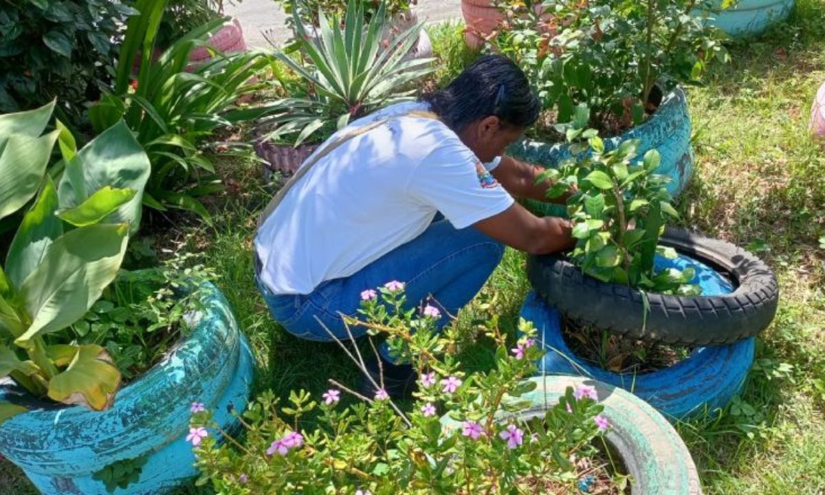 Agentes de endemia vistoriam imóveis contra Aedes aegypti em Juiz de Fora