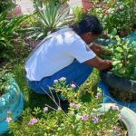 Agentes de endemia vistoriam imóveis contra Aedes aegypti em Juiz de Fora