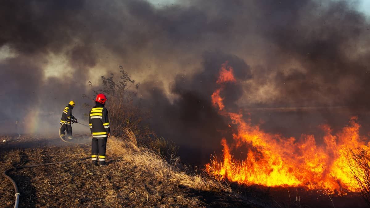 Atuando além do período de estiagem, Governo de Minas investe em tecnologia e ações de prevenção e combate aos incêndios florestais