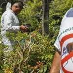 Ouro Preto enfrenta crise de arboviroses em Minas Gerais