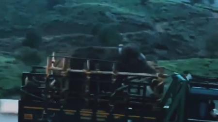Comboio com o elefante Arikomban foi filmado por moradores