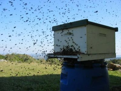 Imagem meramente ilustrativa