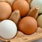 IMA promove “Dia do Ovo“ tira-dúvidas no Sul de Minas