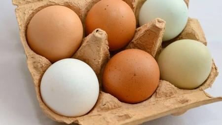 Comercialização de ovos sem registro é caracterizada como 'venda clandestina'