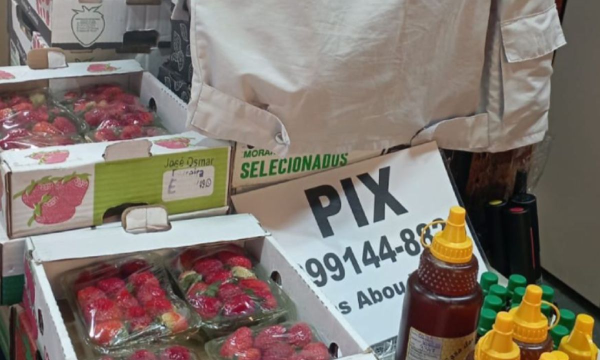 ‘Comércio Legal’ apreende alimentos sem comprovação de origem em JF