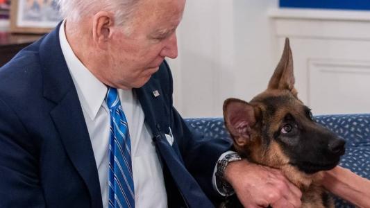 Commander foi adotado por Biden em dezembro de 2021