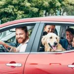 Vai viajar com o seu pet? Saiba como levá-lo no carro
