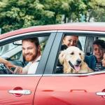 Vai viajar com o seu pet? Saiba como levá-lo no carro