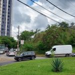 Cheiro de carniça intriga quem passa por rua movimentada em região nobre de Belo Horizonte