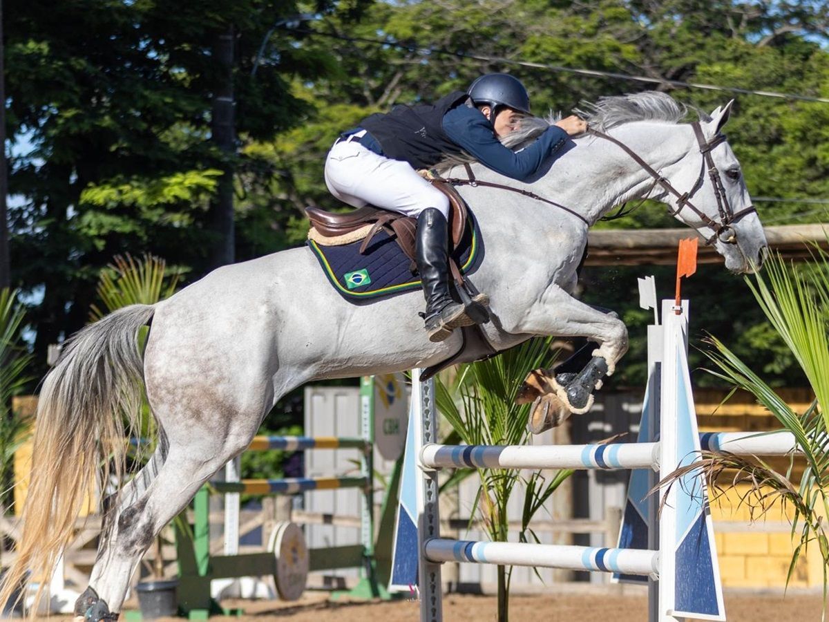 Prova de hipismo em BH distribui premiação de R$10 mil