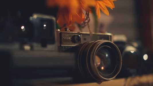 Concurso de Fotografia é realizado pela Secretaria Municipal de Meio Ambiente