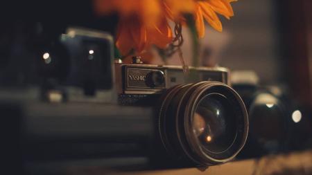 Concurso de Fotografia é realizado pela Secretaria Municipal de Meio Ambiente