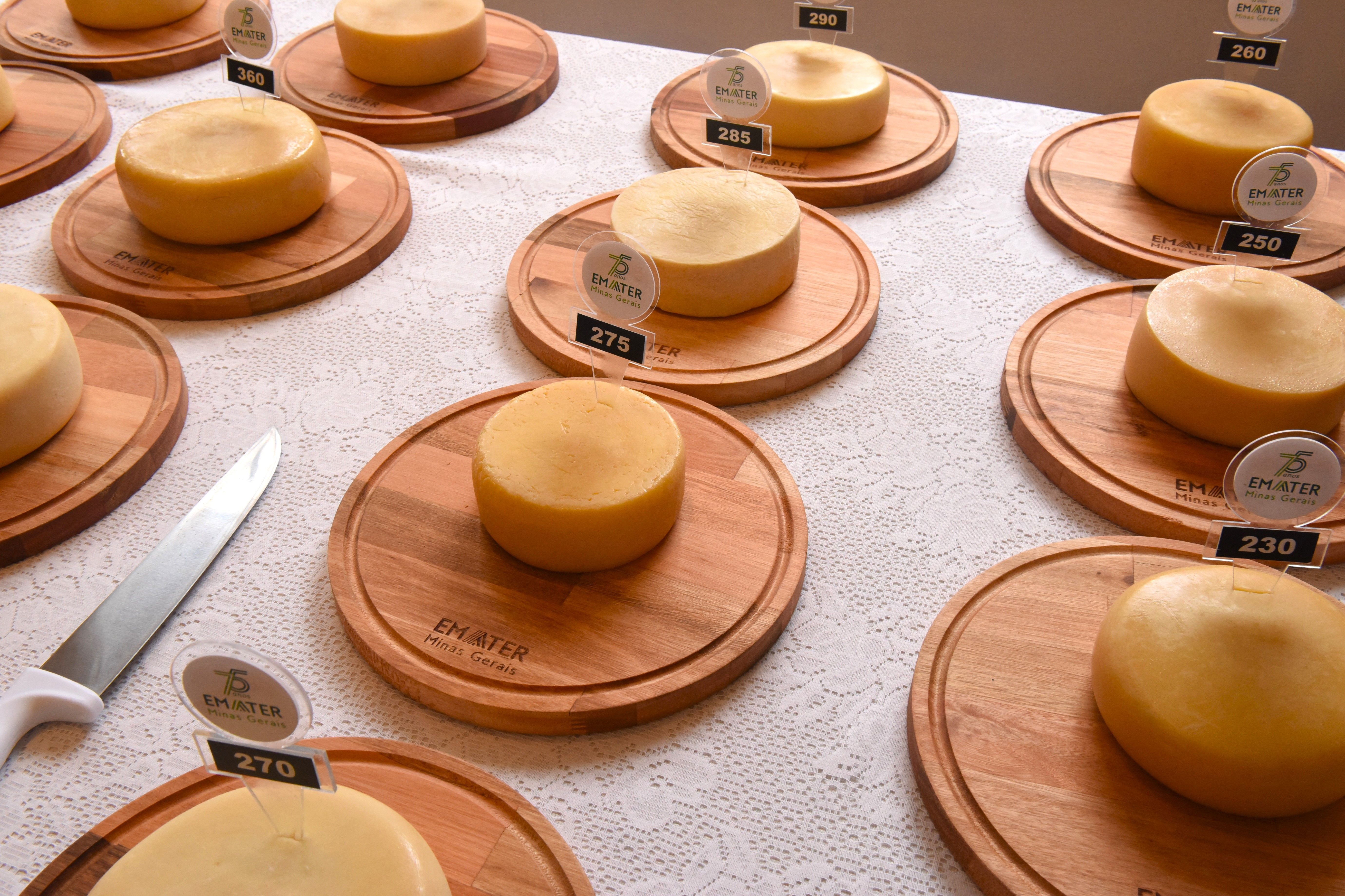Concurso de Queijos terá categoria para iguarias com ingredientes especiais como vinhos, café e azeite