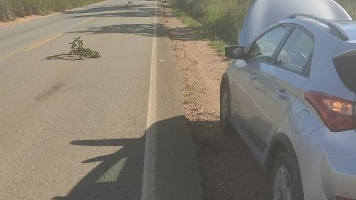 Motorista morre atropelado enquanto consertava carro em rodovia da Grande BH