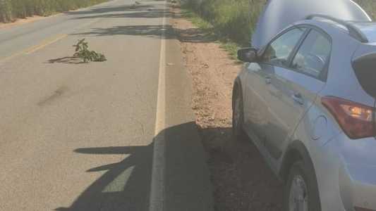Condutor foi atropelado enquanto tentava consertar veículo