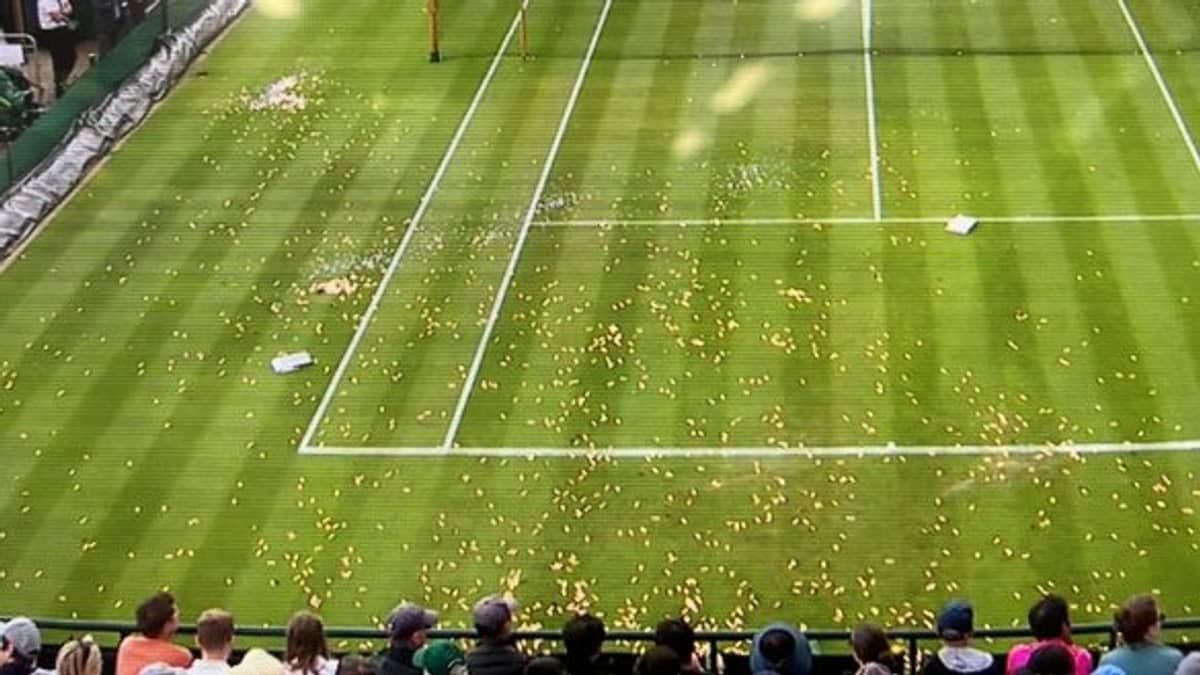 Ativistas climáticos invadem quadra e interrompem jogo de Wimbledon; veja