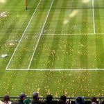 Ativistas climáticos invadem quadra e interrompem jogo de Wimbledon; veja