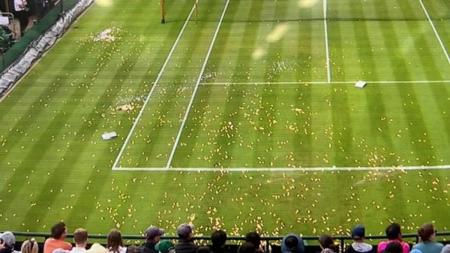 Confetes jogados pelos ativistas climáticos em Wimbledon