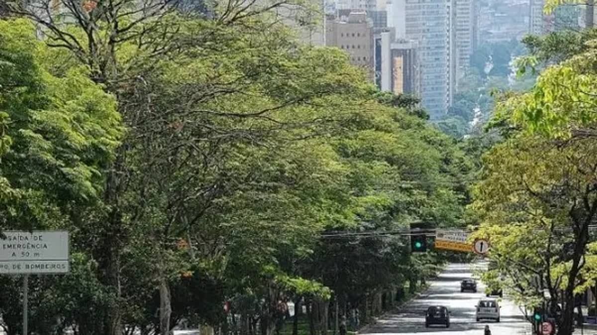 Agenda cultural: o que fazer em Belo Horizonte neste domingo