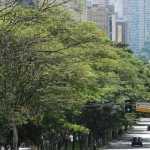 Agenda cultural: o que fazer em Belo Horizonte neste domingo