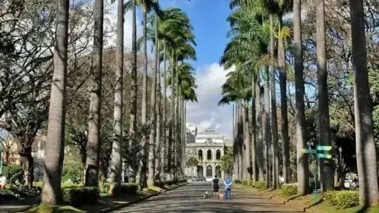 Confira as atrações